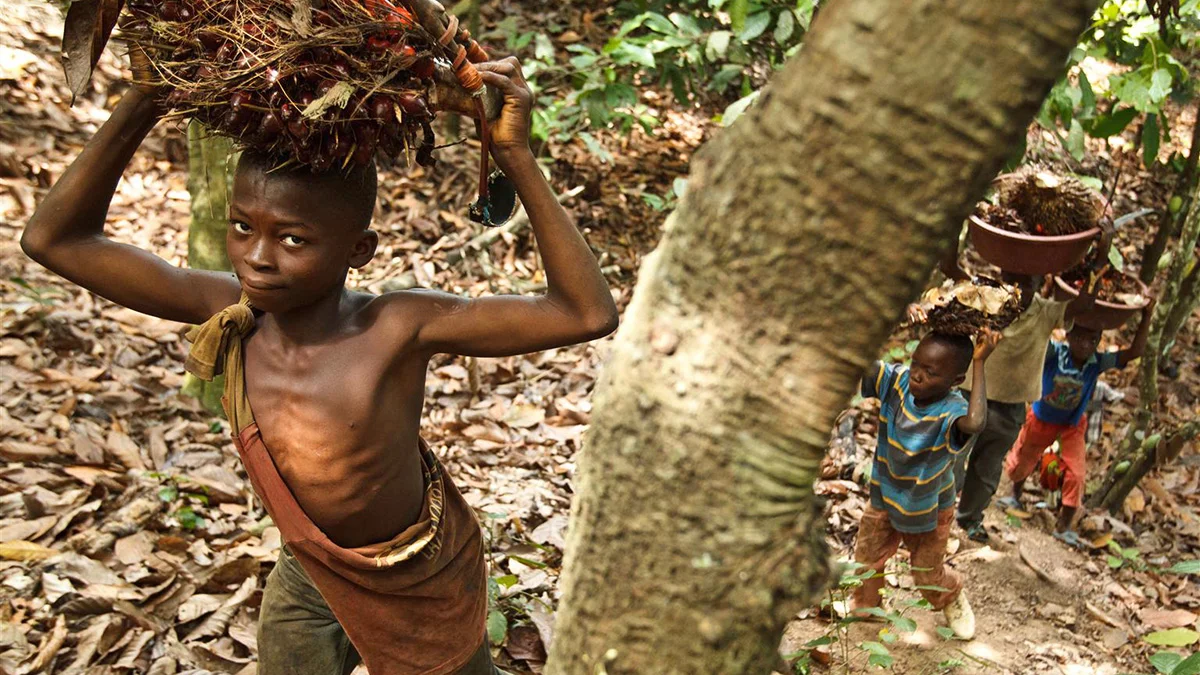 Côte d'Ivoire 2012