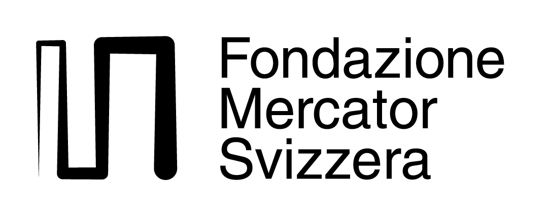 Stiftung Mercator Logo_KFG_IT