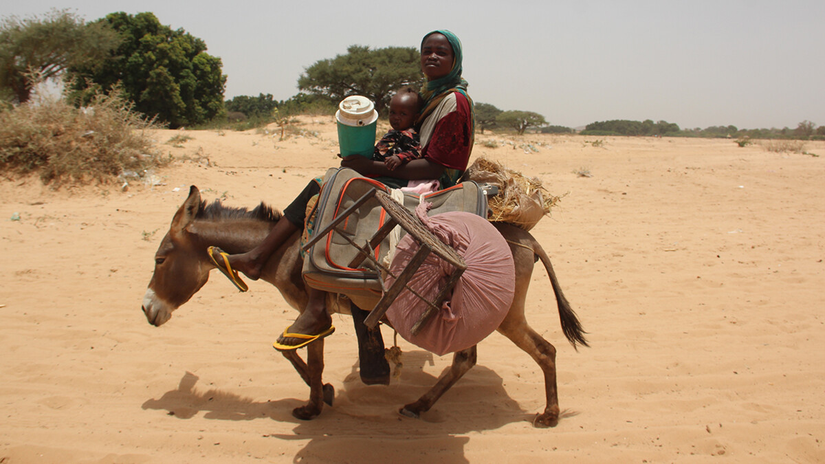  De plus en plus de réfugié·e·s confrontés à la violence se rendent dans le village tchadien de Koufroun, à la frontière avec le Soudan. Les gens transportent leurs biens sur des ânes et des charrettes.