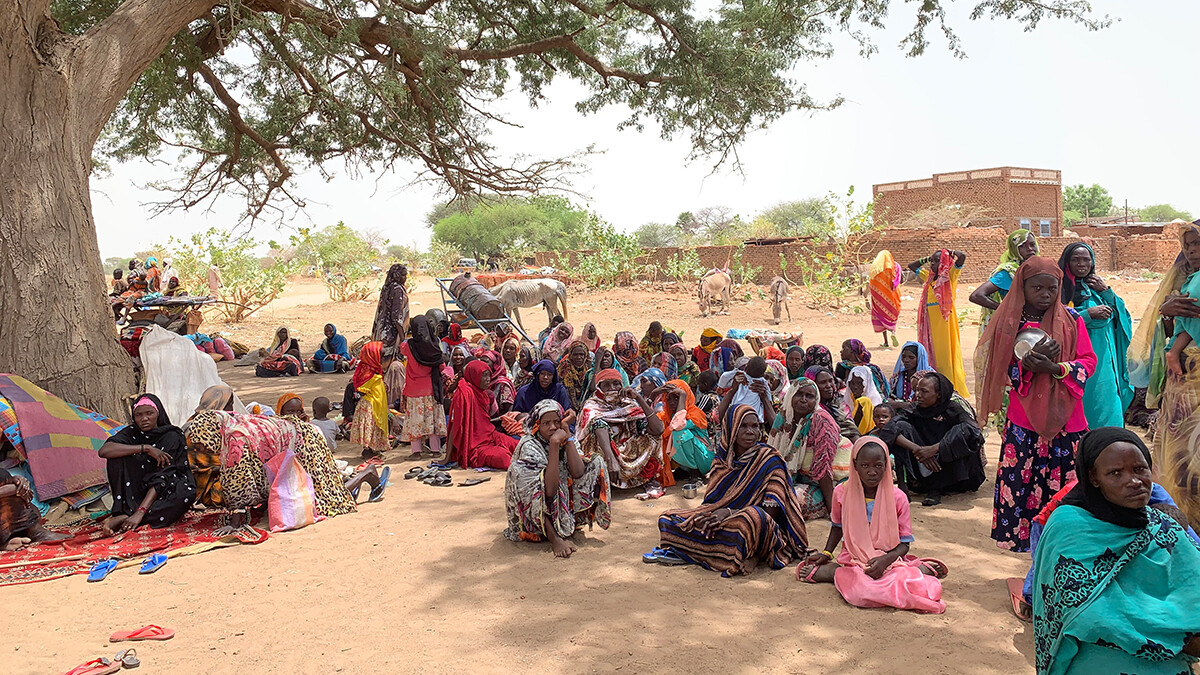 Mentre il conflitto in Sudan cresce sempre più, un gruppo di profughi – soprattutto donne e bambini – si ripara all’ombra di un albero per proteggersi dalle alte temperature.