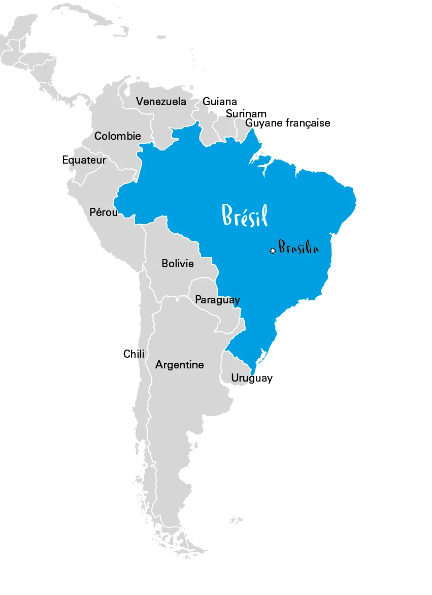 Carte du Brésil Carte du Brésil