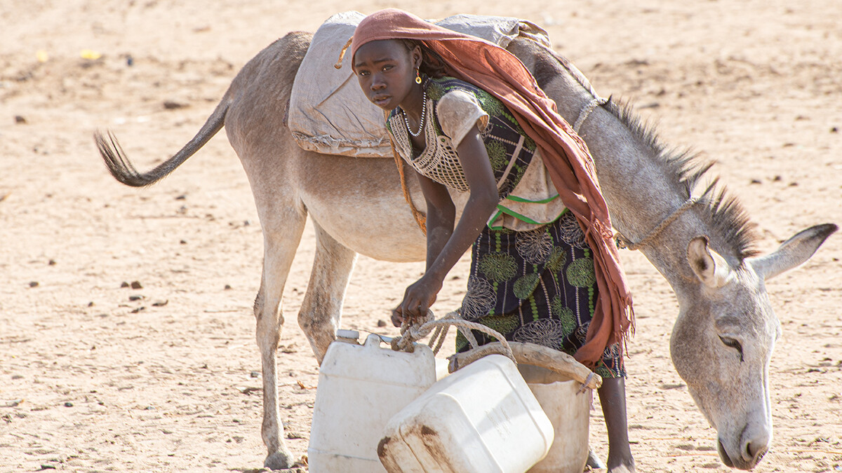 Ein junges Mädchen sammelt Wasser an einer Wasserstelle in der Nähe von Dafur.