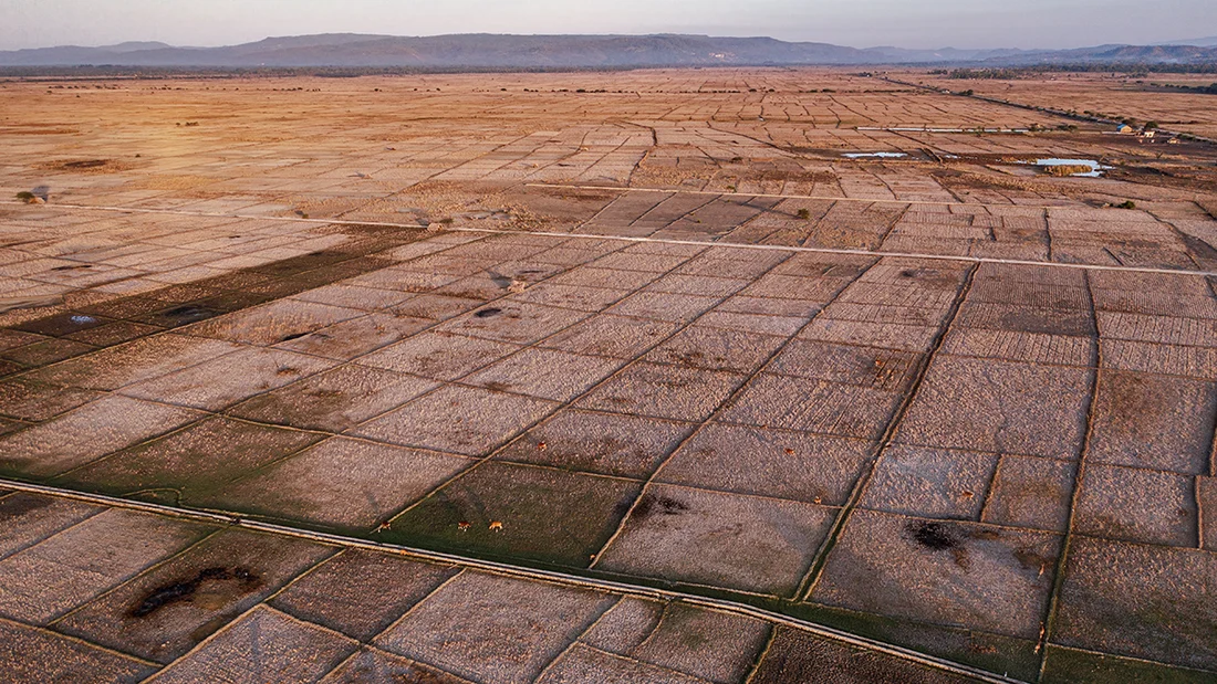 Terres agricoles desséchées en Indonésie.