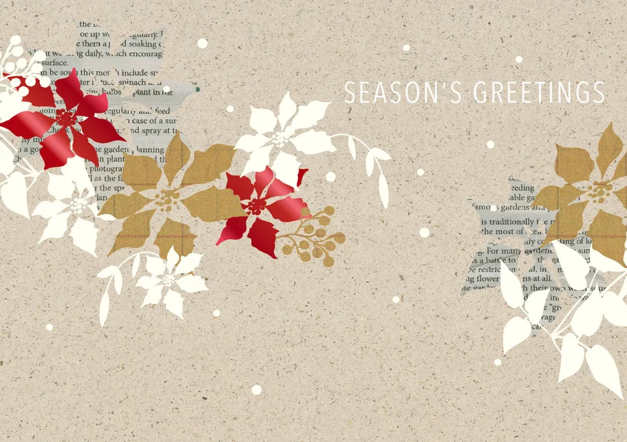 Carte de Noël UNICEF, Étoiles de couleur, 23F14P unicef.ch