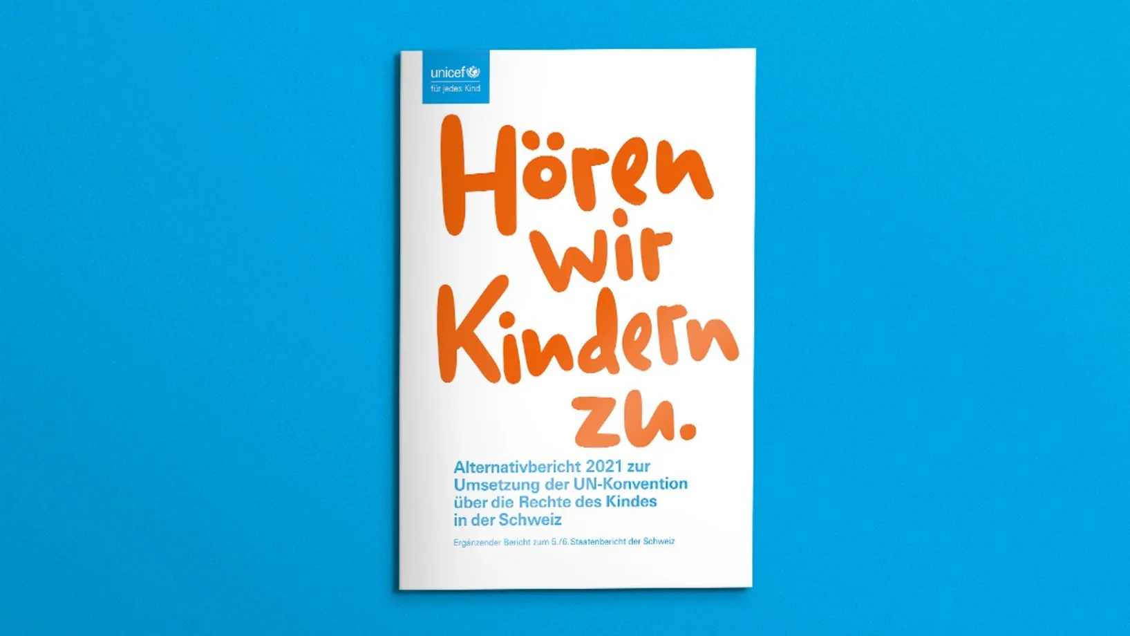 Cover Alternativbericht