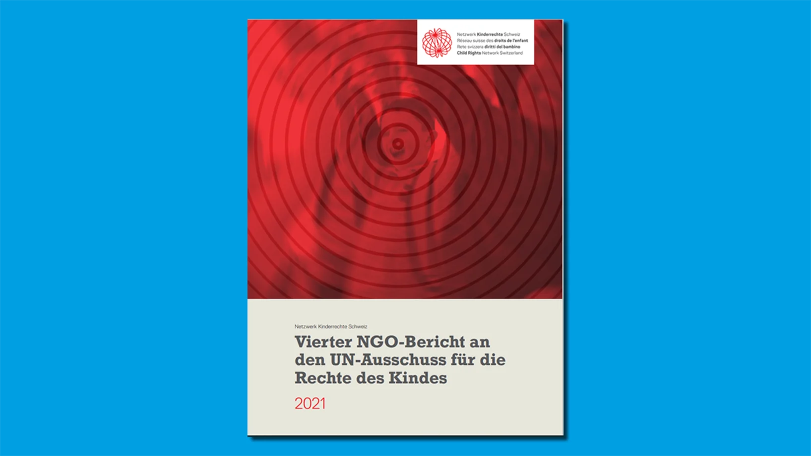 NGO_Bericht_2021